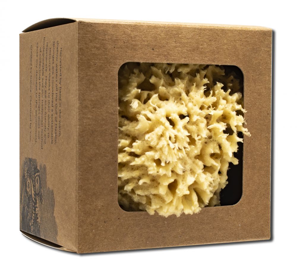 Baudelaire Bath Accessories Wool Sponge Small in Gift Box 4.5"