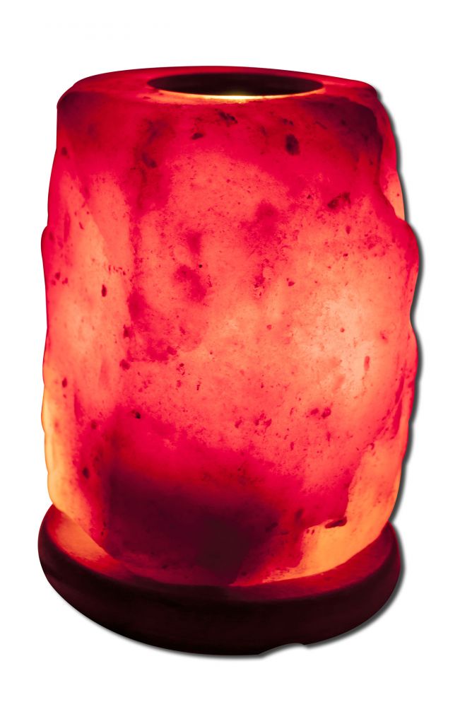Evolution Salt Shaped Salt Lamps Aromatherapy