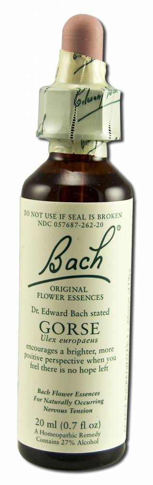 Bach Flower Remedies Original Flower Essences Gorse