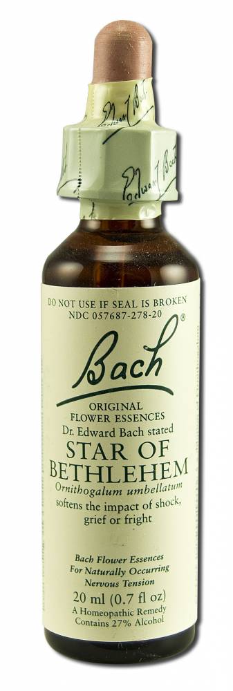 Bach Flower Remedies Original Flower Essences Star of Bethlehem
