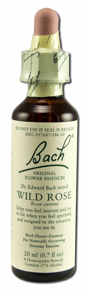 Bach Flower Remedies Original Flower Essences Wild Rose