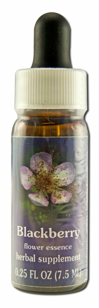 Flower Essence Services (FES) North American Flower Essences Blackberry
