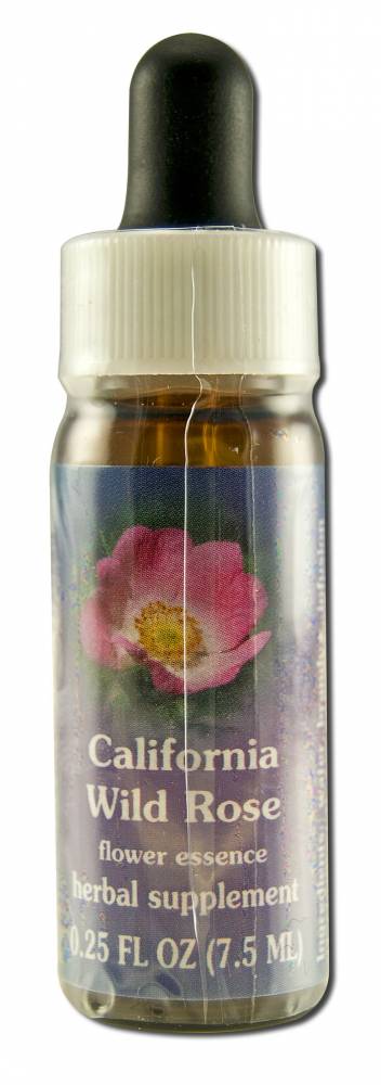 Flower Essence Services (FES) North American Flower Essences California Wild Rose