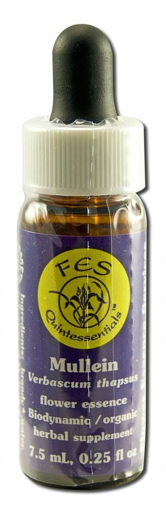 Flower Essence Services (FES) North American Flower Essences Mullein