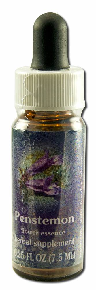 Flower Essence Services (FES) North American Flower Essences Penstemon