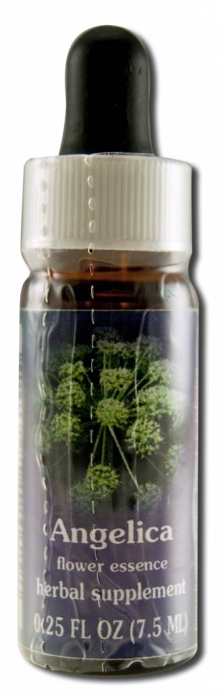 Flower Essence Services (FES) North American Flower Essences Angelica