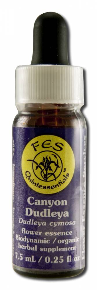 Flower Essence Services (FES) North American Flower Essences Canyon Dudleya