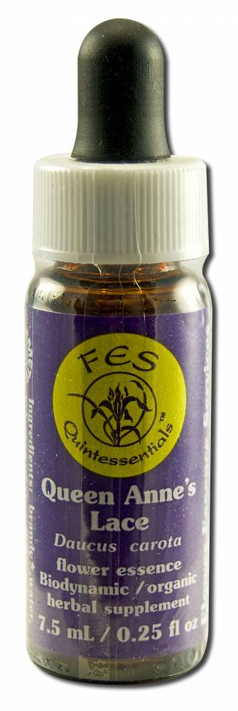 Flower Essence Services (FES) North American Flower Essences Queen Annes Lace