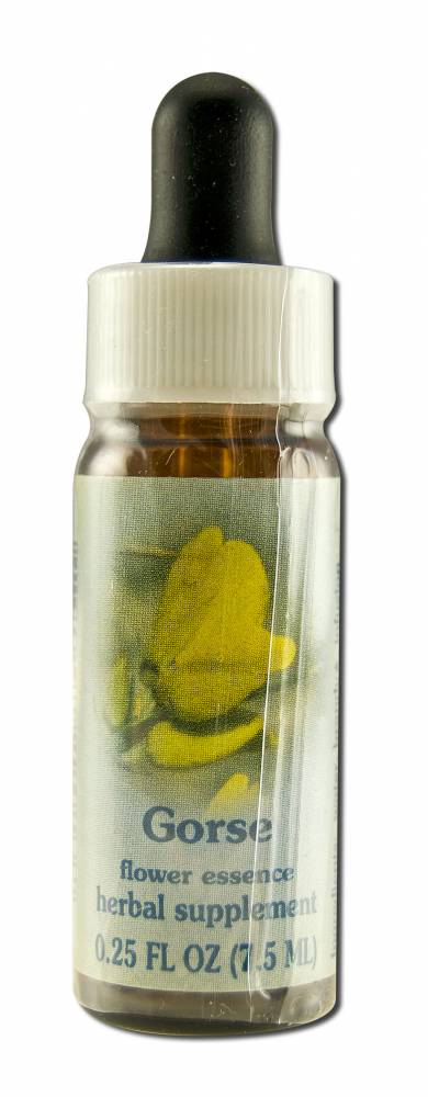 Flower Essence Services (FES) Healing Herbs English Flower Essences Gorse
