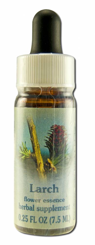 Flower Essence Services (FES) Healing Herbs English Flower Essences Larch
