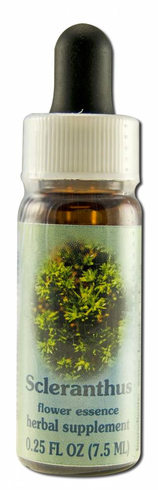 Flower Essence Services (FES) Healing Herbs English Flower Essences Scleranthus