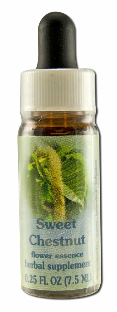 Flower Essence Services (FES) Healing Herbs English Flower Essences Sweet Chestnut