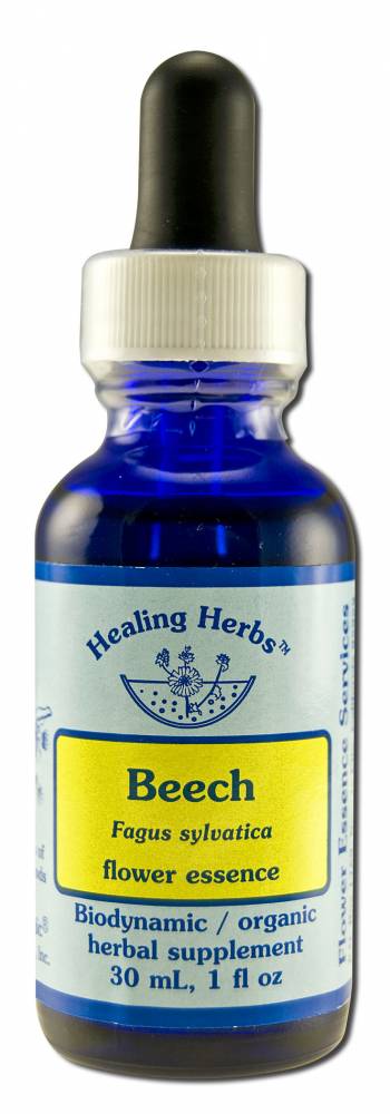 Flower Essence Services (FES) Healing Herbs English Flower Essences Beech