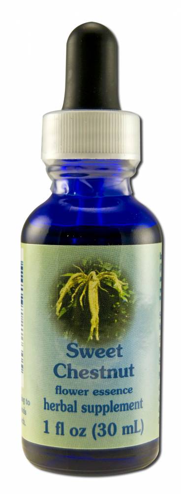 Flower Essence Services (FES) Healing Herbs English Flower Essences Sweet Chestnut