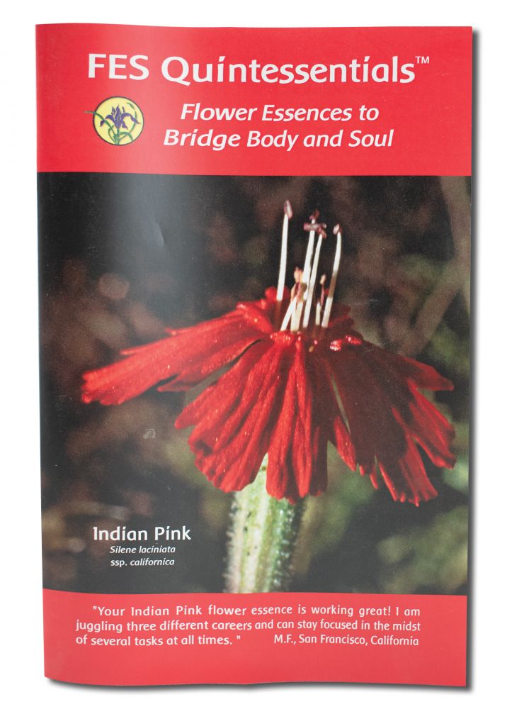 Flower Essence Services (FES) Literature Quintessentials Booklet