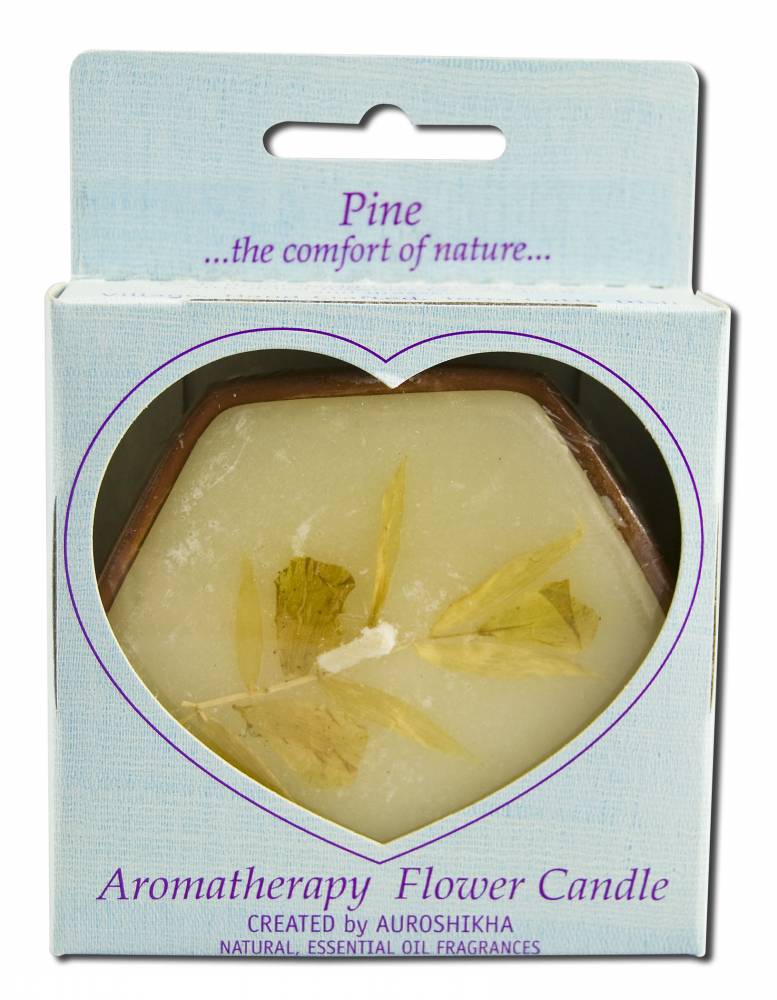 Auroshikha Hexagon Terra Cotta (3 in x 1 in) Flower Candles Pine