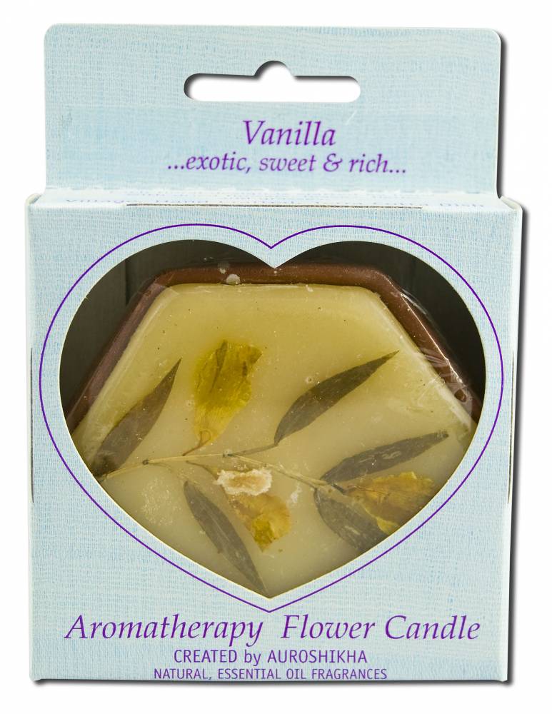 Auroshikha Hexagon Terra Cotta (3 in x 1 in) Flower Candles Vanilla