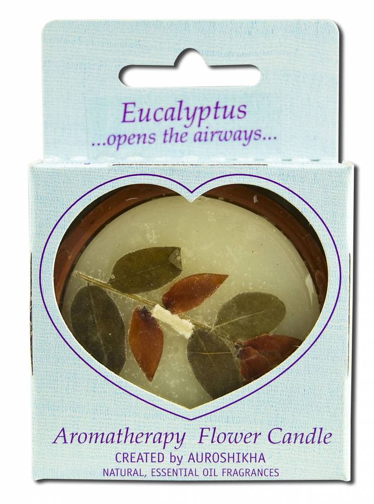 Auroshikha Medium Terra Cotta (2.5 in x 1in) Round Flower Candles Eucalyptus