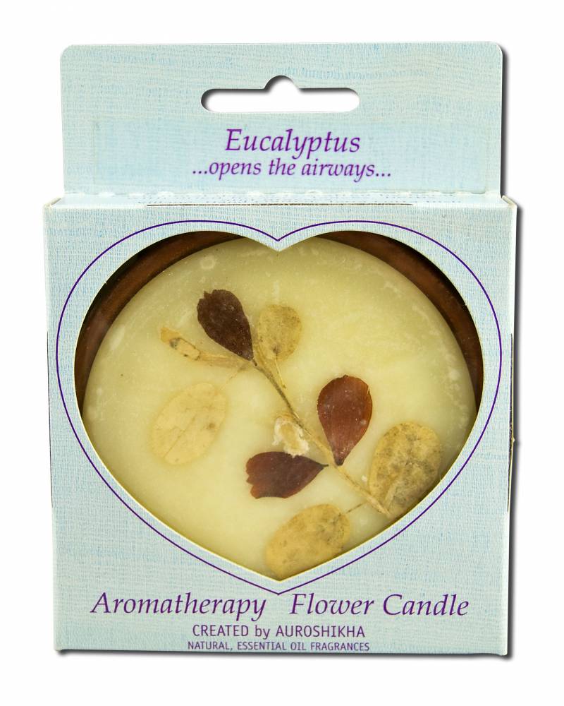 Auroshikha Large Terra Cotta (3.63 in x 1 in) Round Flower Candles Eucalyptus