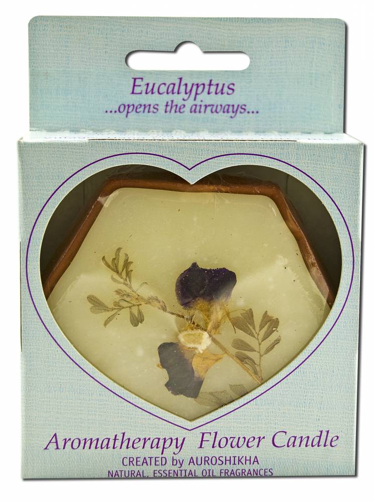Auroshikha Hexagon Terra Cotta (3 in x 1 in) Flower Candles Eucalyptus