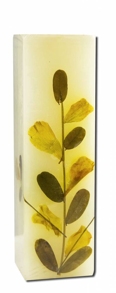 Auroshikha Square (1.5 in x 4.75 in) Flower Candles Eucalyptus