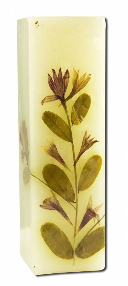 Auroshikha Square (1.5 in x 4.75 in) Flower Candles Rose