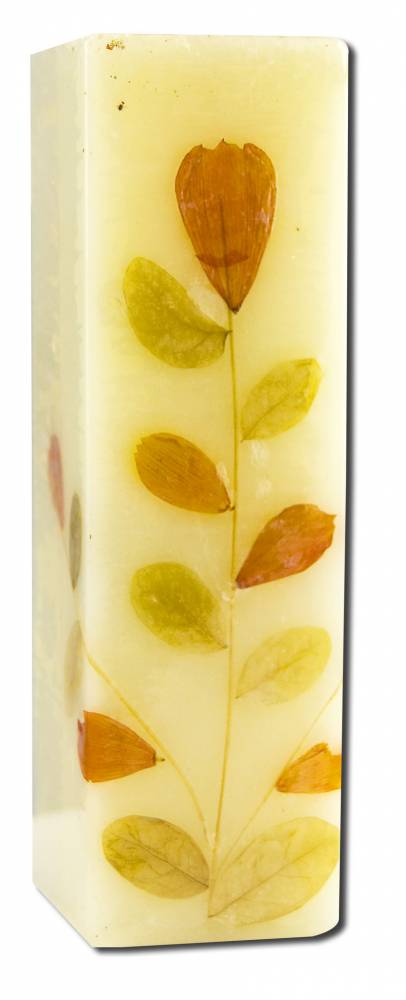 Auroshikha Square (1.5 in x 4.75 in) Flower Candles Tuberose