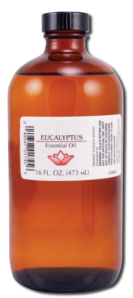 Lotus Light Pure Essential Oils Pure Essential Oils Bulk Eucalyptus 16 oz