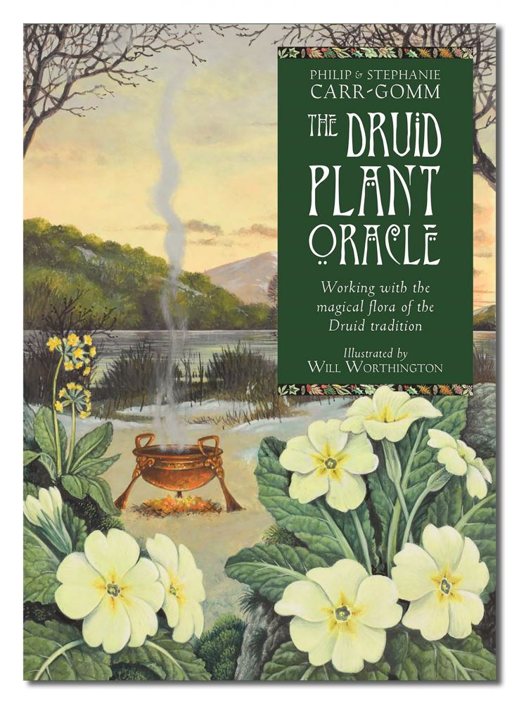 DRUID PLANT ORACLE (new)
