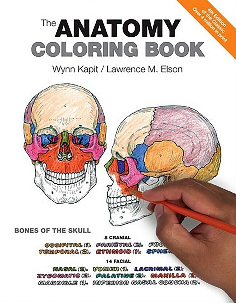 ANATOMY COLORING BOOK (O) (4th editi