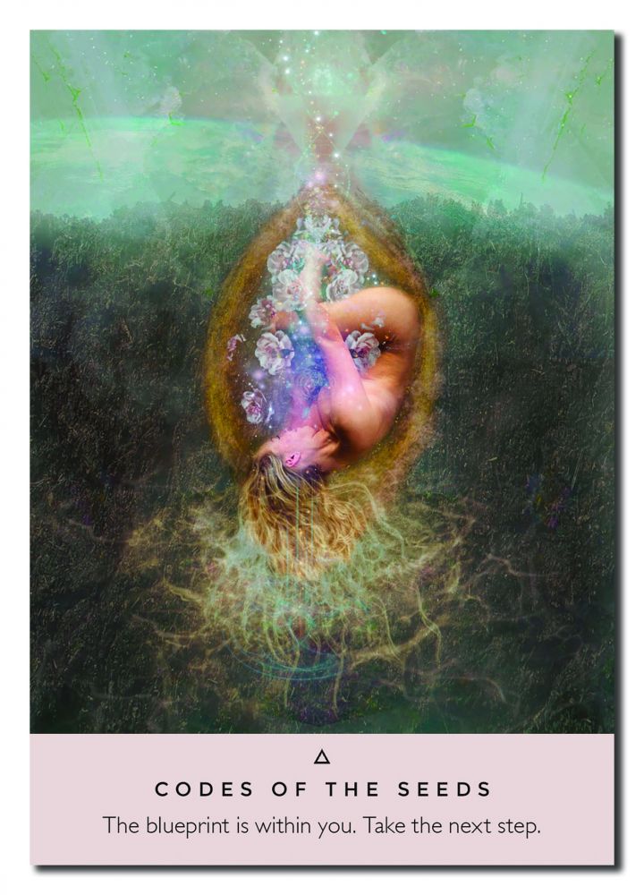 ROSE ORACLE: A 44-Card Deck & Guideb