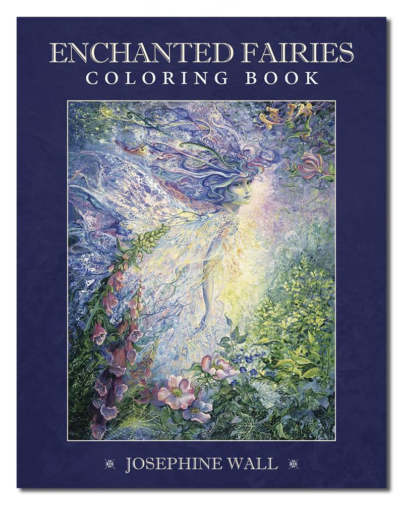 Enchanted Fairies Coloring Book