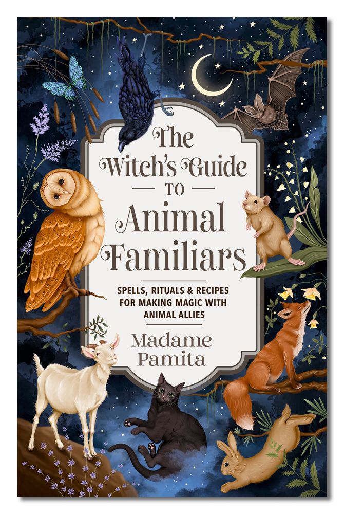 The Witch's Guide To Animal Familiars