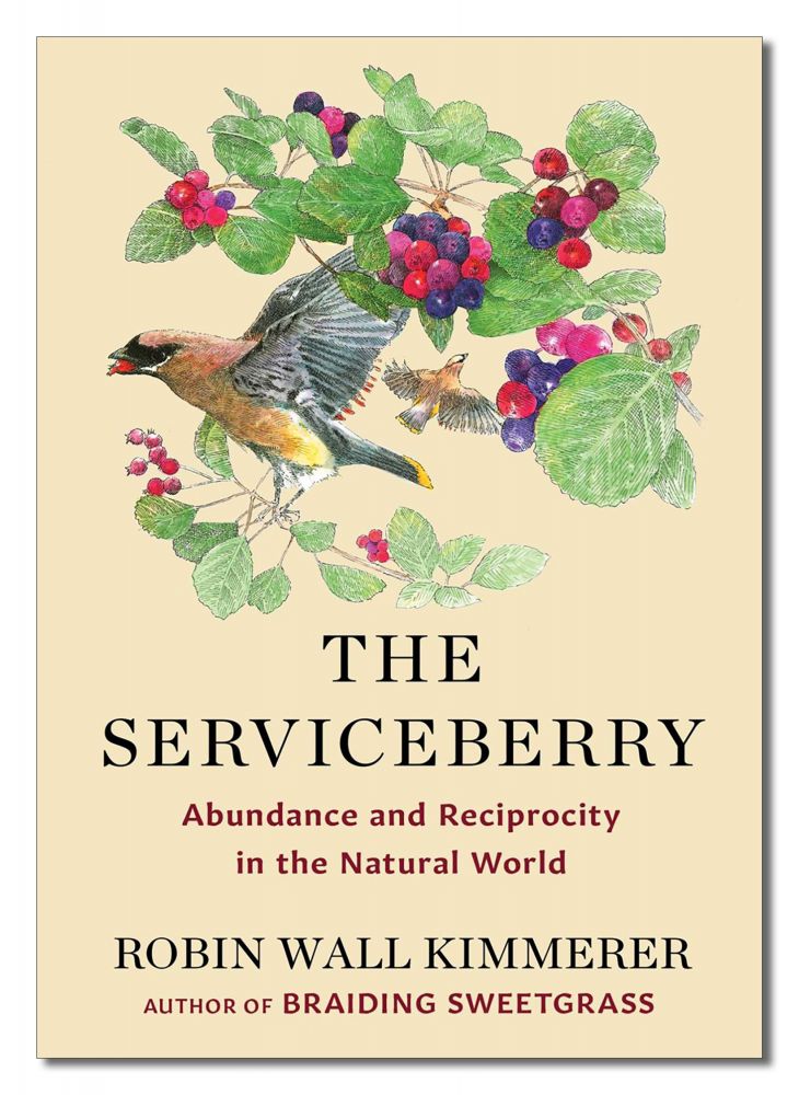 The Serviceberry