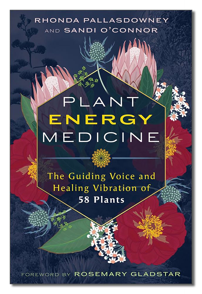Plant Energy Medicine