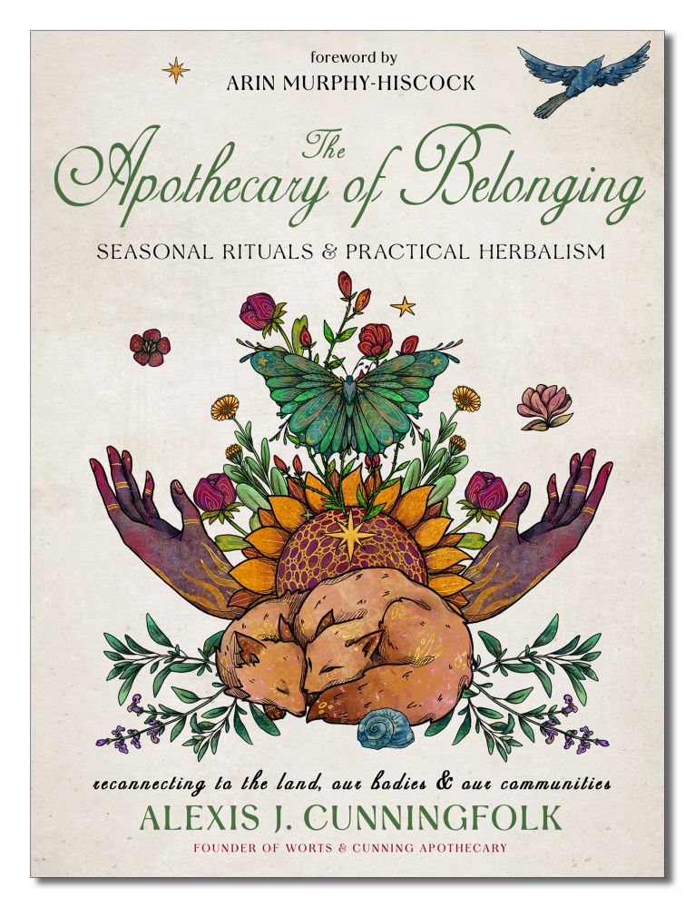 APOTHECARY OF BELONGING (THE)