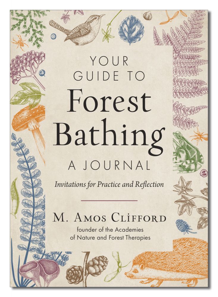 YOUR GUIDE TO FOREST BATHING