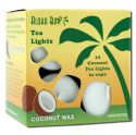 Aloha Bay Palm Wax Candles Unscented Tea Lights .7 oz 5 Hours White 12 pk