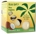 Aloha Bay Palm Wax Candles Unscented Tea Lights .7 oz 5 Hours Cream 12 pk