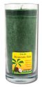 Aloha Bay Palm Wax Candles Coconut Wax Essential Oil Aloha Jar Mountain Mist Dark Green 11 oz