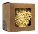 Baudelaire Bath Accessories Wool Sponge Small in Gift Box 4.5"