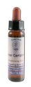 Crystal Herbs Transforming Core Emotions Inner Certainty 10 ml
