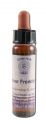 Crystal Herbs Transforming Core Emotions Inner Freedom 10 ml