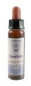 Crystal Herbs Developing Positivity Creativity 10 ml