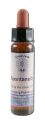 Crystal Herbs Developing Positivity Spontaneity 10 ml