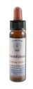 Crystal Herbs Developing Positivity Thankfulness 10 ml