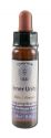 Crystal Herbs Integrating Spirit Inner Unity 10 ml