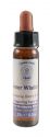 Crystal Herbs Integrating Spirit Inner Wisdom 10 ml