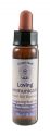 Crystal Herbs Integrating Spirit Loving Communication 10 ml