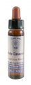 Crystal Herbs Integrating Spirit Male Essence 10 ml